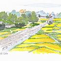 信州 佐久平の秋  上田から佐久、内山峠を越えて下仁田から本庄まで自転車で走りました。この絵は、しなの鉄道を越える跨線橋の上から稲刈り前の田園風景をスケッチしたものです。