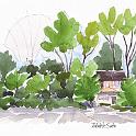 さいたま市 木立の中の一軒家  農家の奥、ぶどう畑の脇の道から木立の中の一軒家を描きました。