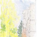 東京大学 本郷キャンパス 工学部2号館  安田講堂前の広場から銀杏並木と工学部2号館。正門から安田講堂にかけての銀杏はまだ黄葉が残っていました。下は黄色のじゅうたん。