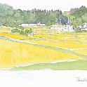 茅野市柏原集落  大門峠から国道152号を茅野方面に下っていくと、八ヶ岳の裾野の田畑が広がってきます。まさに日本の秋の風景。