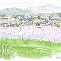 佐久市桑山の桜並木  同じ日、御牧ケ原からの帰り道で。桜並木の向こうに佐久平が見える。