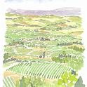 イタリア トスカーナ  トスカーナの田園風景。「オーガニックなイタリア 農村見聞録」という本の表紙になりました。
