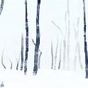 Trees in the snow  ネットの写真から。- Procreate,Nicholas