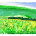 Summer in Kirigamine,Nagano  長野県霧ヶ峰高原の夏。- SENNELIER Oil Pastel on CANSON Dry Mixed Media
