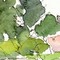 埼玉県狭山湖－緑の季節の始まり