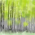 Fresh Green Larch Forest  霧ケ峰高原 新緑のカラマツ林。- Procreate,Nicholas